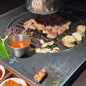 홍고박 사진