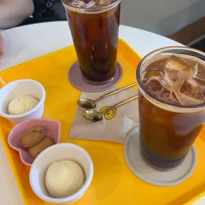 라포미 사진