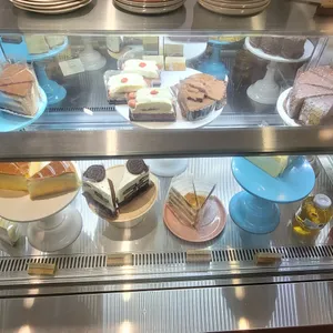마우스래빗 리뷰 사진