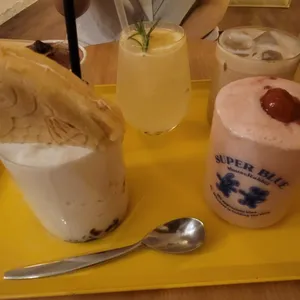 마우스래빗 사진