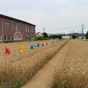 본앤하이리 리뷰 사진