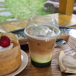 카페우즈 사진