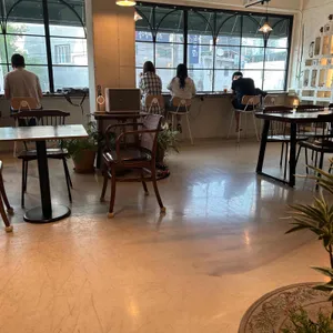 피노 리뷰 사진