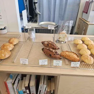콩키 사진