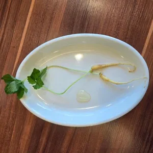 이우철 한방 누룽지 삼계탕 사진