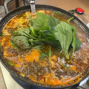 금상첨화 사진