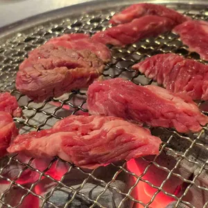 갈속집 사진