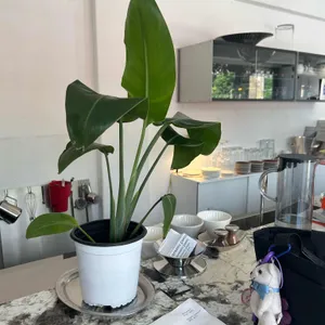 room5 roastworks 리뷰 사진
