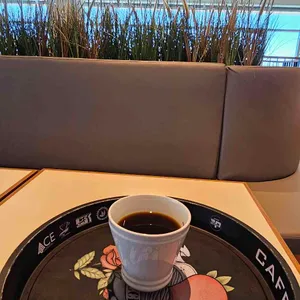 파스쿠찌 사진