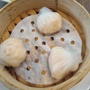 팀호완 사진