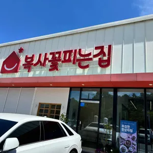 복사꽃피는집 리뷰 사진