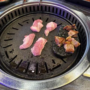 고기원칙 사진