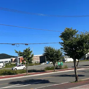 코지하우스 리뷰 사진