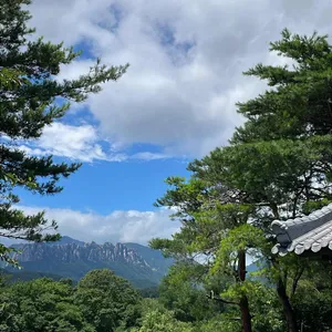 두메산골 리뷰 사진