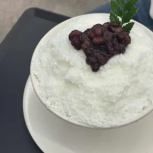 더스노우 사진