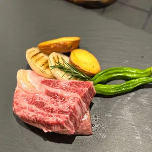 우살롱 사진