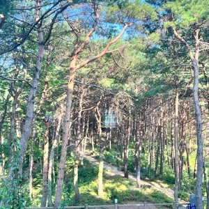 카페 로그 리뷰 사진