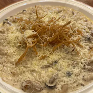 베이비치크 사진