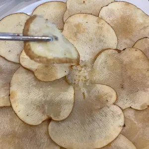 신라제면 사진