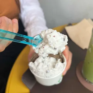 녹아 사진