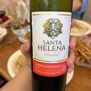 베이비치크 사진