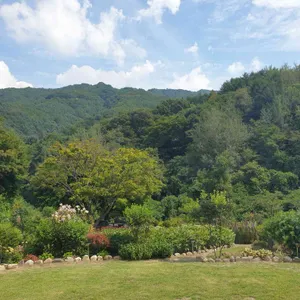 오월정원 사진 2