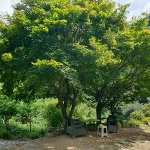 오월정원 대표 사진