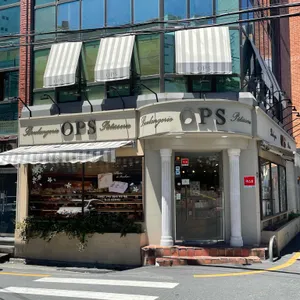옵스 리뷰 사진