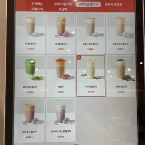 차백도 리뷰 사진