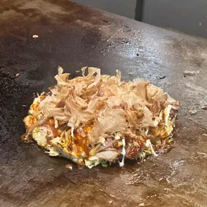 코야 사진