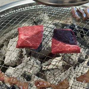 설화 사진