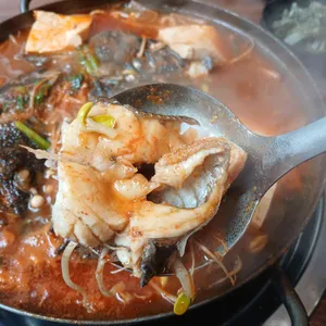 어패가 있네 사진