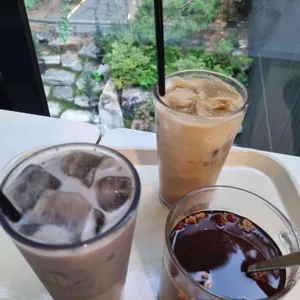 빅트리 사진