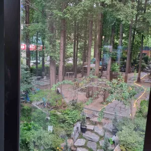 빅트리 리뷰 사진