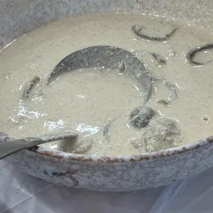 꿀참나무 사진