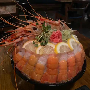곤조 사진