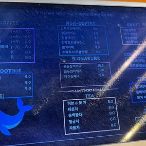 파라토도스 리뷰 사진
