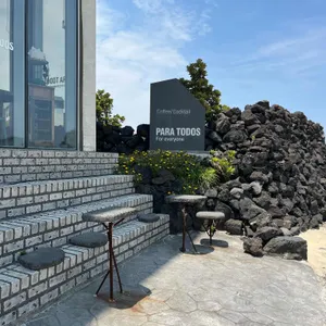 파라토도스 리뷰 사진
