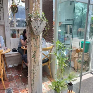 카페 수달 리뷰 사진