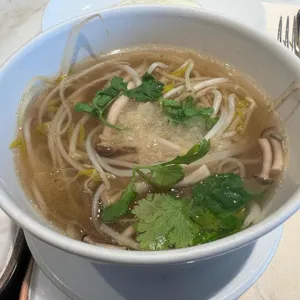 그랜드조선제주 아리아 사진