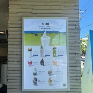 블루샥 리뷰 사진