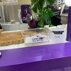 오크베리아사이 사진 2
