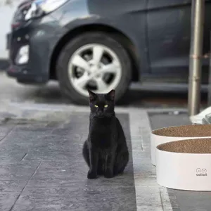 혜야 리뷰 사진