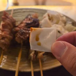 하나마토 사진
