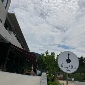디코이덕 대표 사진