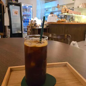 카코포니 사진