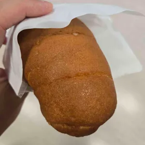 카코포니 사진