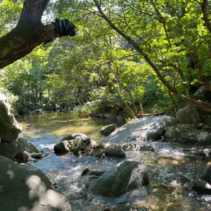 예사랑 리뷰 사진