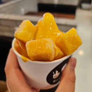 브루앤바이트 사진