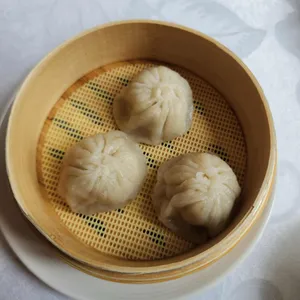 하이보 사진